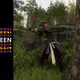 An image with the Splitscreen logo on the left and a purple-haired New World character chopping down trees on the right.